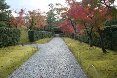 Miyukimichi Lane