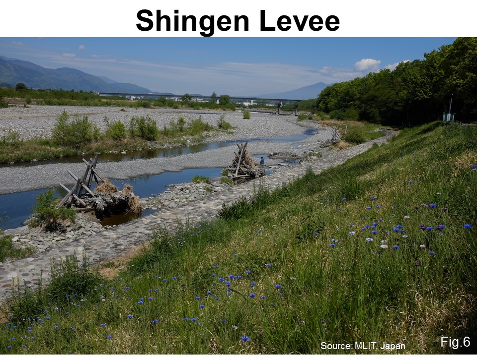 Shingen Levee