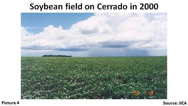 Soybean field on Cerrado in 2000