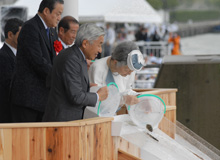 Their Majesties attend the Cherished Sea Festival and stock the sea with young fish.