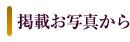 掲載お写真から