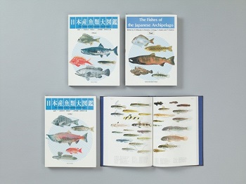 『日本産魚類大図鑑』昭和59年（1984）