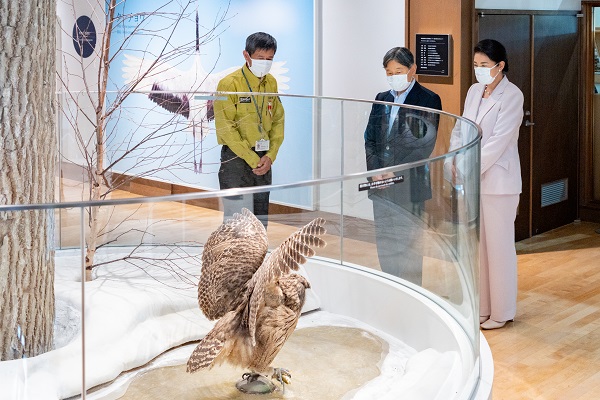 釧路湿原野生生物保護センター