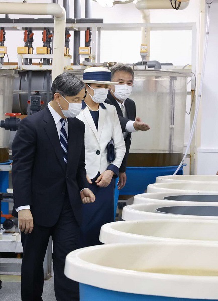 厚岸町カキ種苗センター