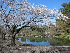 Suhama Shore（South Pond）