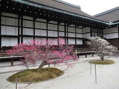 The Jodan-no-ma (Upper room), Chudan-no-ma (Middle room), Kadan-no-ma (Lower room) and Kenji-no-ma (Treasure room)of the Otsunegoten