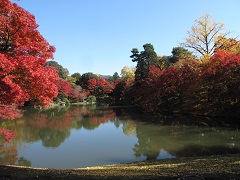 Kitaike Pond