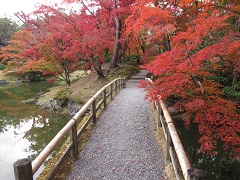 Momijibashi Bridge