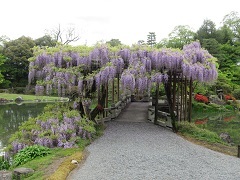 Yatsuhashi Bridge