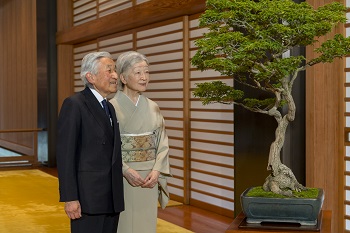 天皇皇后両陛下のお写真