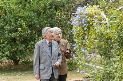 a Portrait of Their Majesties