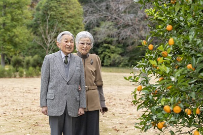 a Portrait of Their Majesties