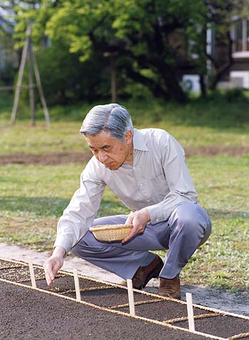 お手まきのお写真