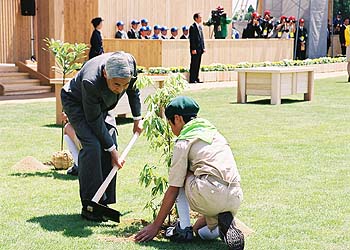 お手植えのお写真