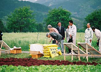 ご視察のお写真