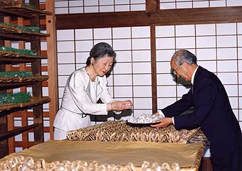 ご養蚕のお写真