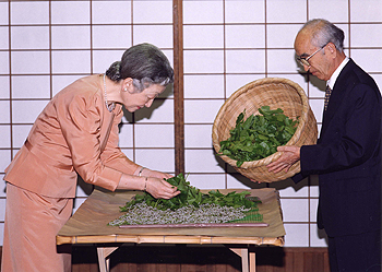 ご養蚕のお写真