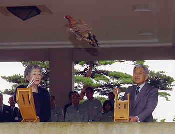 ご放鳥のお写真