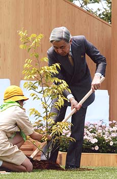 お手植えのお写真