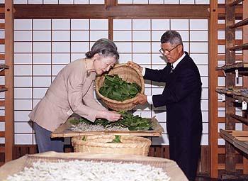 ご養蚕のお写真