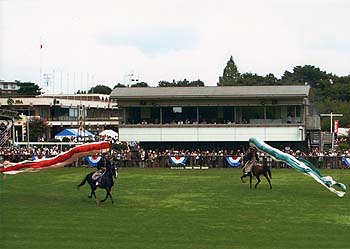 Picture of Horohiki(pennants streaming)