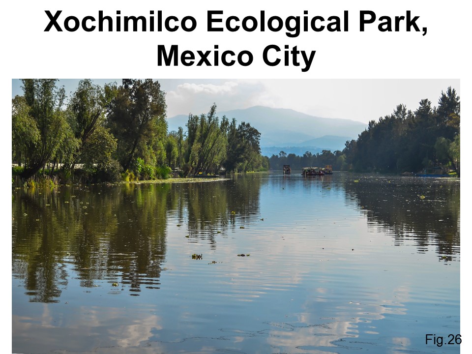 Xochimilco Ecological Park, Mexico City