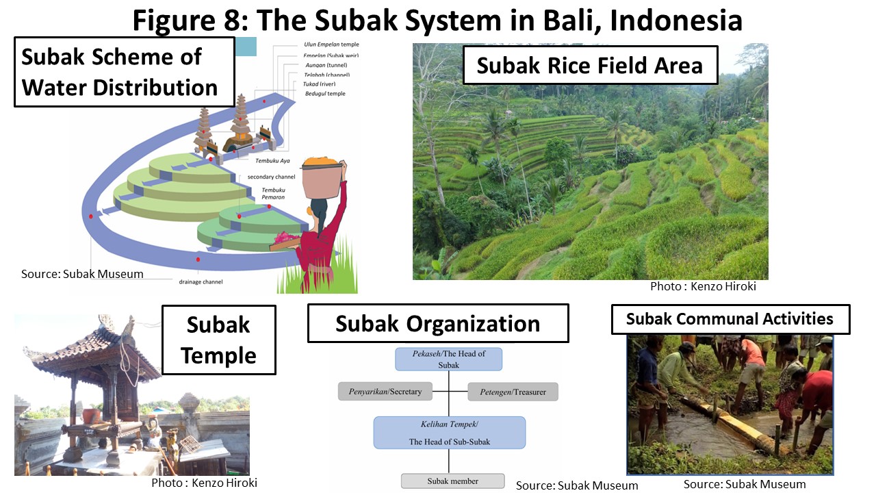 The Subak System in Bali, Indonesia