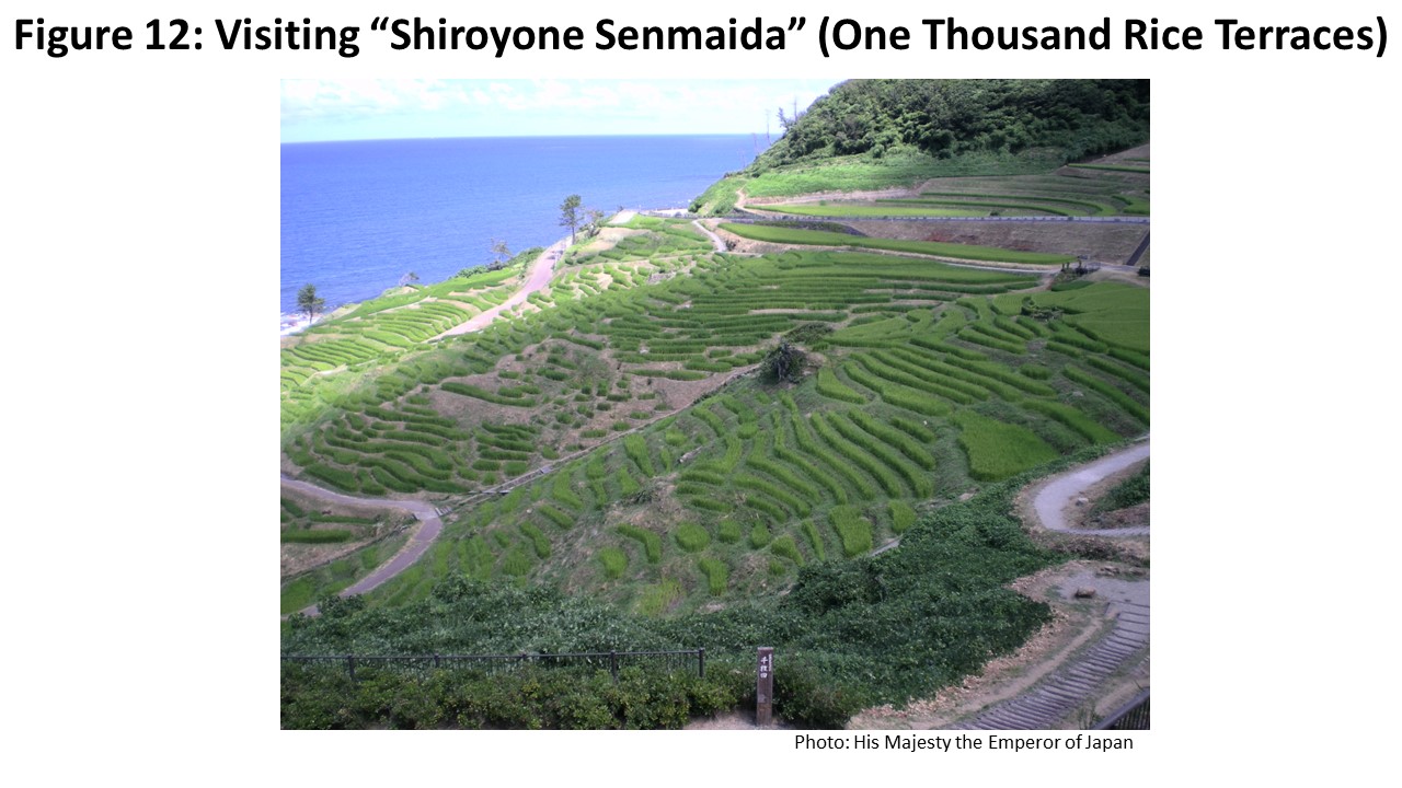 Visiting “Shiroyone Senmaida” (One Thousand Rice Terraces)