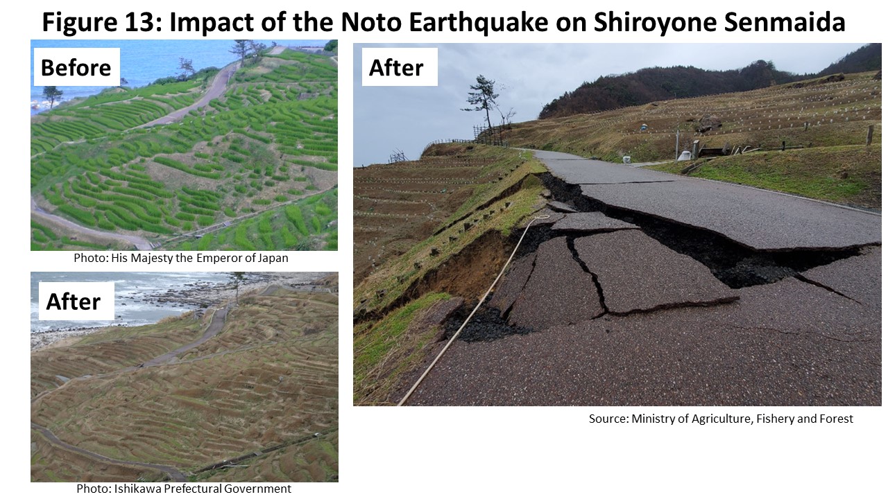 Impact of the Noto Earthquake on Shiroyone Senmaida