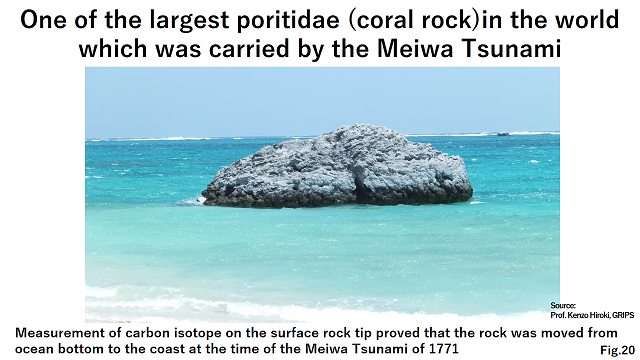 One of the largest poritidae (coral rock)in the world