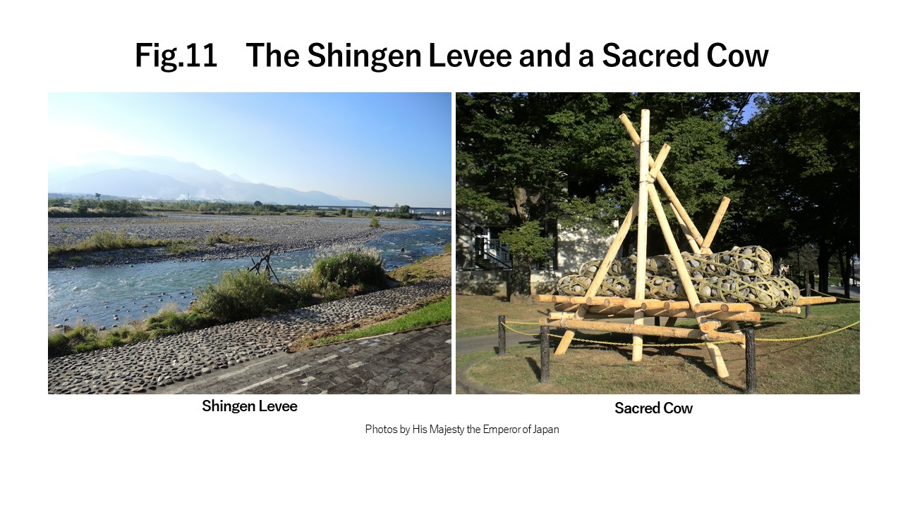 The Shingen Levee and a Sacred Cow