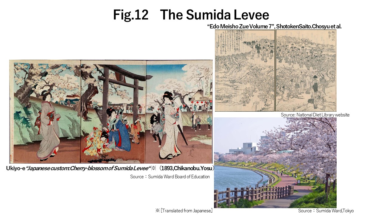 The Sumida Levee