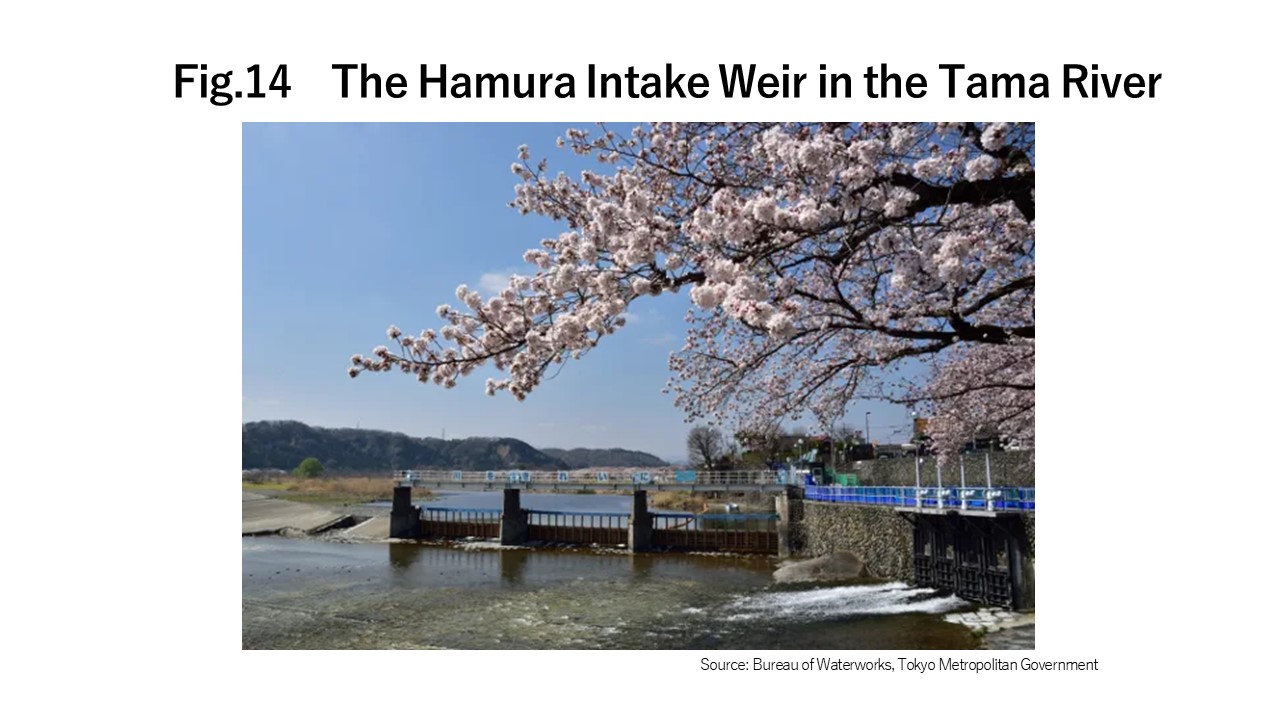 The Hamura Intake Weir in the Tama River