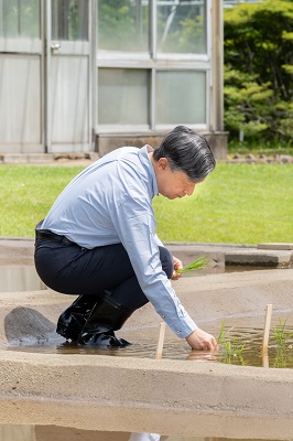 お写真