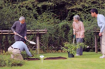 記念ご植樹のお写真