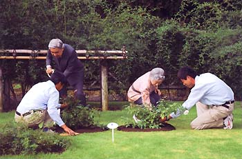 記念ご植樹のお写真