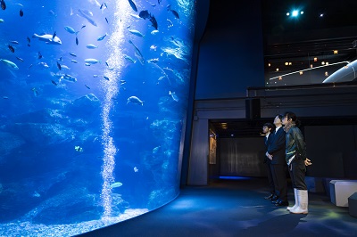 お写真