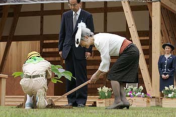 お手植えのお写真