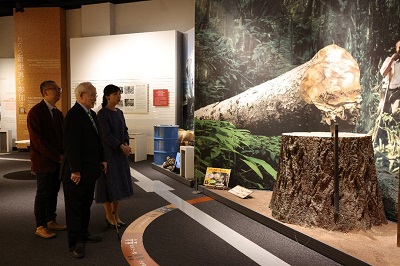 お写真