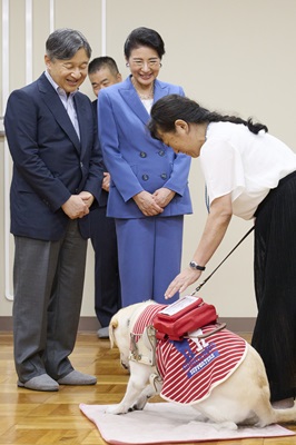 お写真