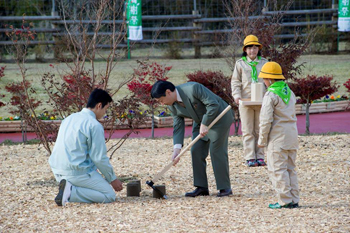 お手植樹お手入れのお写真