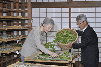 ご給桑のお写真