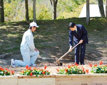 お手植え樹お手入れのお写真