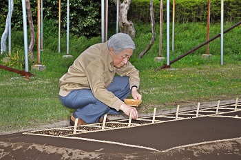 お手まきお写真