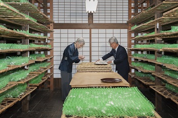 ご養蚕のお写真