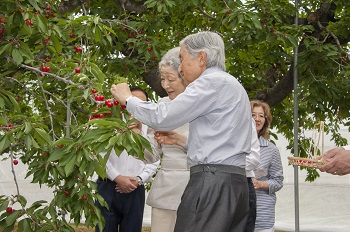 ご訪問のお写真