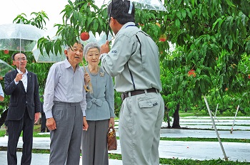 ご訪問のお写真