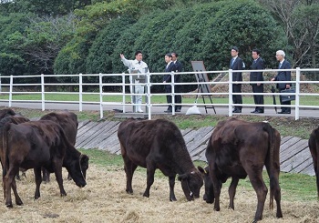 ご視察のお写真