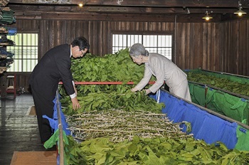 ご給桑のお写真