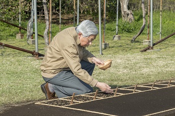 お手まきのお写真